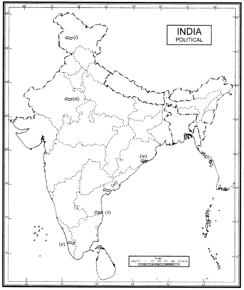 Class 9 Geography Chapter 3 Extra Questions and Answers Drainage img-2