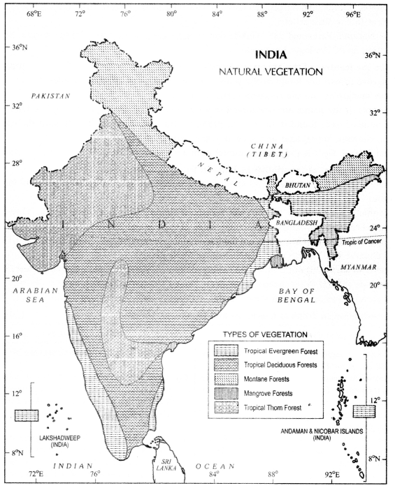 Class 9 Geography Chapter 5 Extra Questions and Answers Natural Vegetation and Wildlife img-1