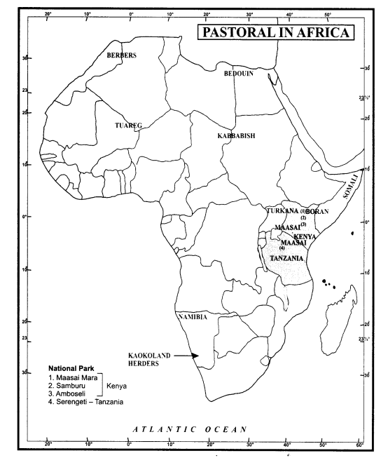 Class 9 History Chapter 5 Extra Questions and Answers Pastoralists in the Modern World img-2