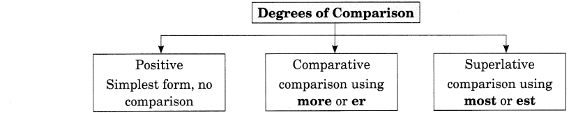 Exercise On Adjectives for Class 8 CBSE With Answers Q3.1