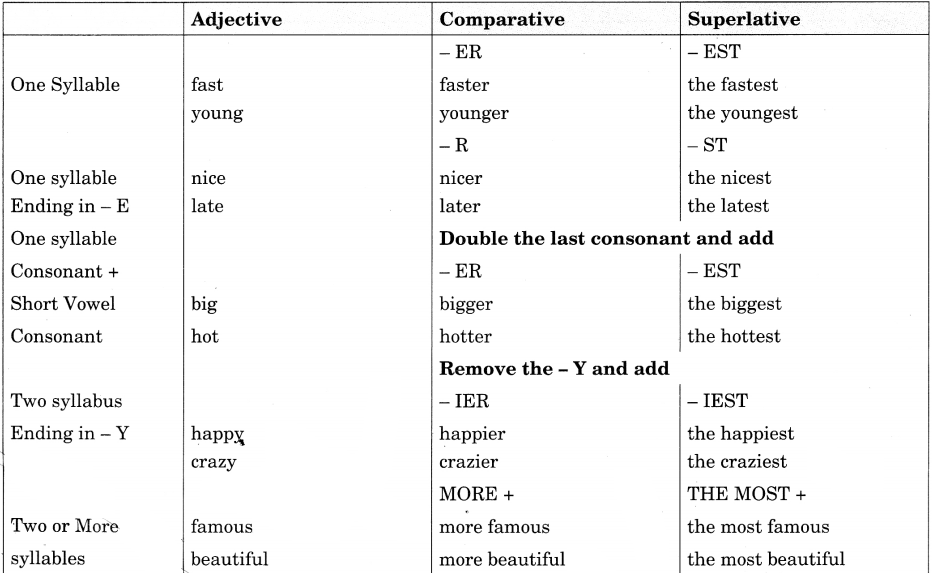 Exercise On Adjectives for Class 8 CBSE With Answers Q4.1