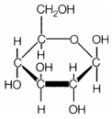 MCQ Questions for Class 11 Biology Chapter 9 Biomolecules with Answers 1