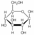 MCQ Questions for Class 11 Biology Chapter 9 Biomolecules with Answers 2