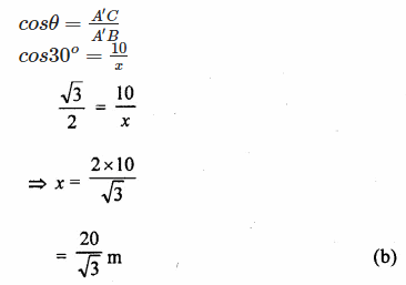 ML Aggarwal Class 10 Solutions for ICSE Maths Chapter 20 Heights and Distances MCQS Q4.2