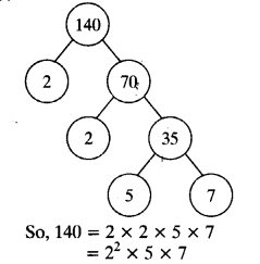 NCERT Solutions for Class 10 Maths Chapter 1 Real Numbers Ex 1.2 1