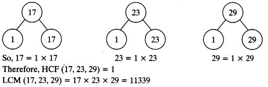 NCERT Solutions for Class 10 Maths Chapter 1 Real Numbers Ex 1.2 10