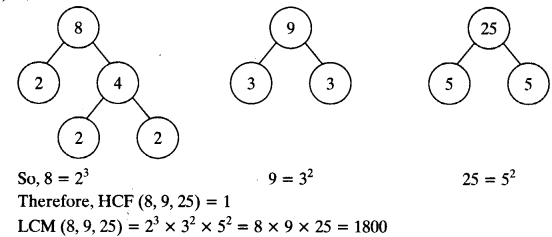 NCERT Solutions for Class 10 Maths Chapter 1 Real Numbers Ex 1.2 11