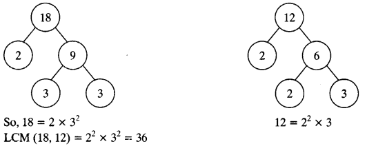 NCERT Solutions for Class 10 Maths Chapter 1 Real Numbers Ex 1.2 14