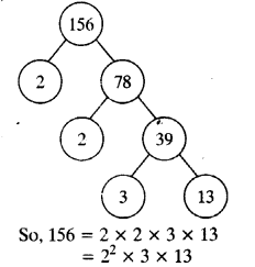 NCERT Solutions for Class 10 Maths Chapter 1 Real Numbers Ex 1.2 2