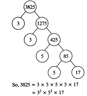 NCERT Solutions for Class 10 Maths Chapter 1 Real Numbers Ex 1.2 3