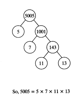 NCERT Solutions for Class 10 Maths Chapter 1 Real Numbers Ex 1.2 4