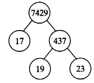 NCERT Solutions for Class 10 Maths Chapter 1 Real Numbers Ex 1.2 5