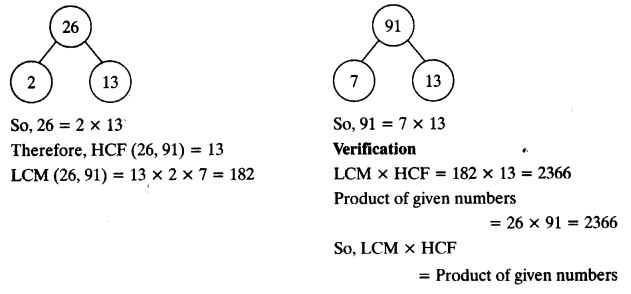 NCERT Solutions for Class 10 Maths Chapter 1 Real Numbers Ex 1.2 6