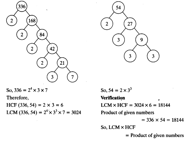 NCERT Solutions for Class 10 Maths Chapter 1 Real Numbers Ex 1.2 7