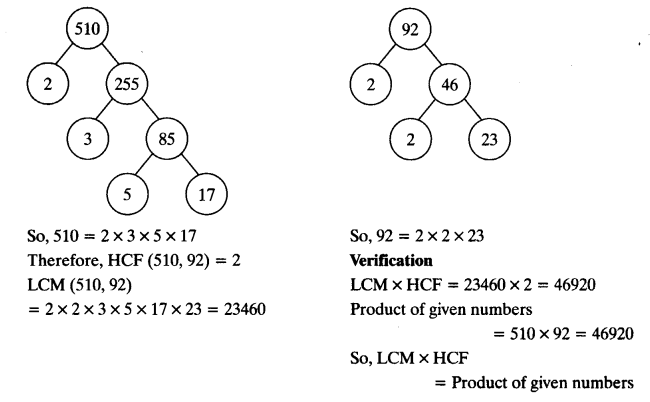 NCERT Solutions for Class 10 Maths Chapter 1 Real Numbers Ex 1.2 8