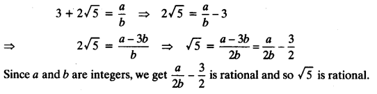NCERT Solutions for Class 10 Maths Chapter 1 Real Numbers Ex 1.3 1