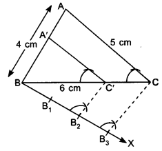 NCERT Solutions for Class 10 Maths Chapter 11 Constructions Ex 11.1 3