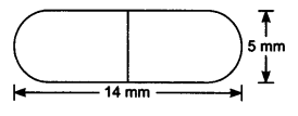 NCERT Solutions for Class 10 Maths Chapter 13 Surface Areas and Volumes Ex 13.1 7