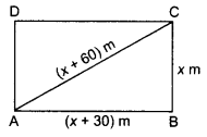 NCERT Solutions for Class 10 Maths Chapter 4 Quadratic Equations Ex 4.3 15