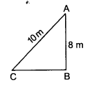 NCERT Solutions for Class 10 Maths Chapter 6 Triangles Ex 6.5 10