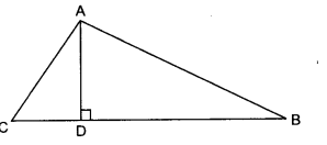 NCERT Solutions for Class 10 Maths Chapter 6 Triangles Ex 6.5 15