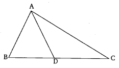NCERT Solutions for Class 10 Maths Chapter 6 Triangles Ex 6.6 20