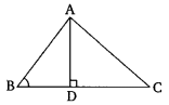 NCERT Solutions for Class 10 Maths Chapter 6 Triangles Ex 6.6 9