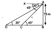 NCERT Solutions for Class 10 Maths Chapter 9 Some Applications of Trigonometry Ex 9.1 19