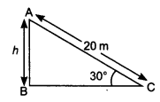 NCERT Solutions for Class 10 Maths Chapter 9 Some Applications of Trigonometry Ex 9.1 2