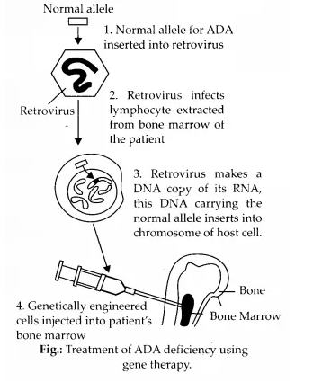 NCERT Solutions for Class 12 Biology Chapter 12 Biotechnology and Its Applications Q5.1