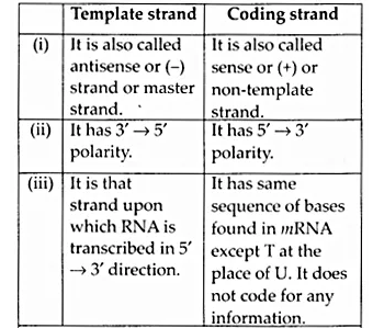 NCERT Solutions for Class 12 Biology Chapter 6 Molecular Basis of Inheritance Q8.3