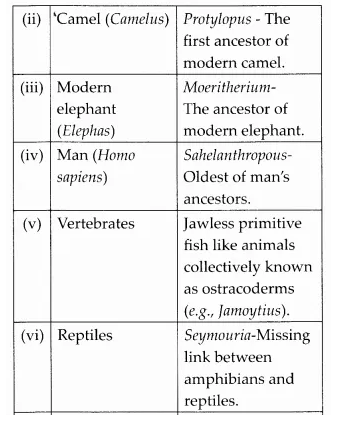 NCERT Solutions for Class 12 Biology Chapter 7 Evolution Q6.2