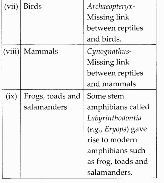 NCERT Solutions for Class 12 Biology Chapter 7 Evolution Q6.3