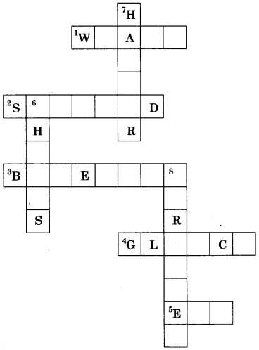 NCERT Solutions for Class 6 English Honeysuckle Chapter 1 Who Did Patrick’s Homework image 2