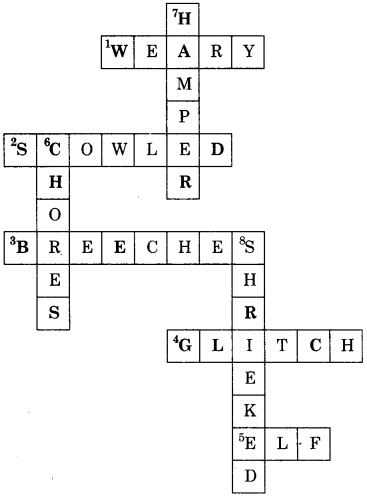 NCERT Solutions for Class 6 English Honeysuckle Chapter 1 Who Did Patrick’s Homework image 3