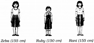 NCERT Solutions for Class 6 English Honeysuckle Chapter 10 The Banyan Tree image 3