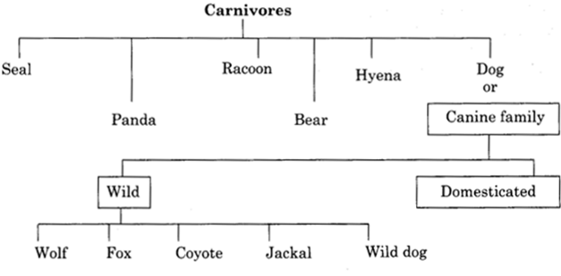 NCERT Solutions for Class 6 English Honeysuckle Chapter 2 How the Dog Found Himself a New Master image 6