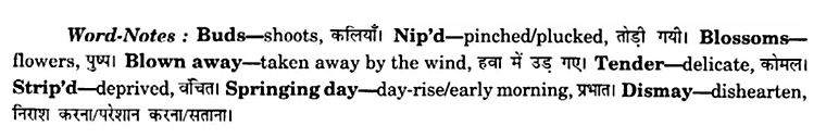 NCERT Solutions for Class 8 English Honeydew Poem Chapter 5 The School Boy Q5.1