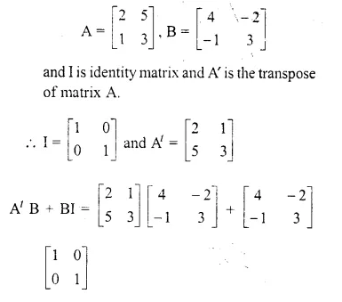 Selina Concise Mathematics Class 10 ICSE Solutions Chapter 9 Matrices Ex 9D Q13.2
