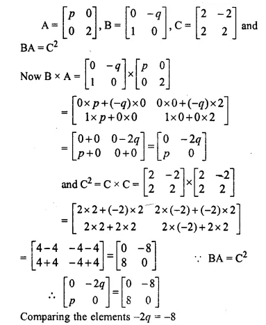 Selina Concise Mathematics Class 10 ICSE Solutions Chapter 9 Matrices Ex 9D Q18.2