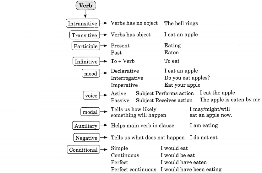 Subject Verb Agreement Exercises for Class 8 CBSE With Answers Q2.1