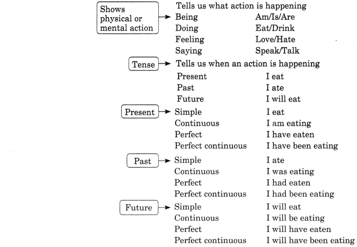 subject-verb-agreement-exercises-for-class-8-cbse-with-answers