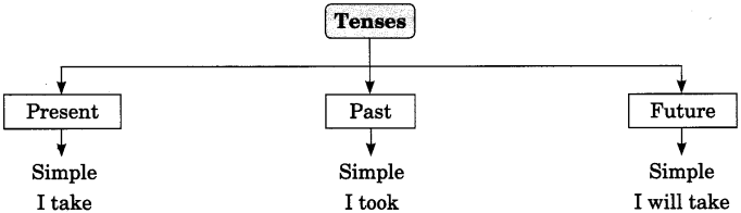 Tenses Exercises for Class 8 CBSE With Answers Q1.2