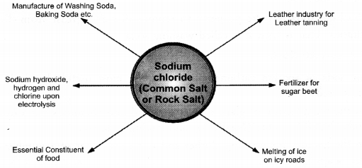 Acids Bases and Salts Class 10 Important Questions Science Chapter 2 image - 21