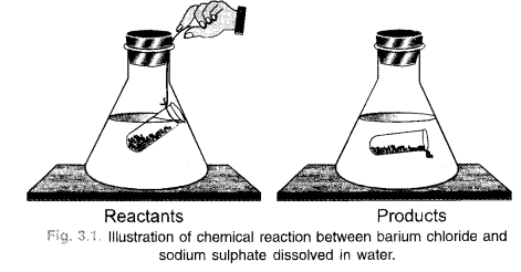 Atoms and Molecules Class 9 Important Questions Science Chapter 3 img 2