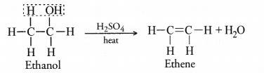 Carbon and its Compounds Class 10 Important Questions Science Chapter 4 image - 22