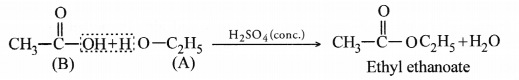 Carbon and its Compounds Class 10 Important Questions Science Chapter 4 image - 26