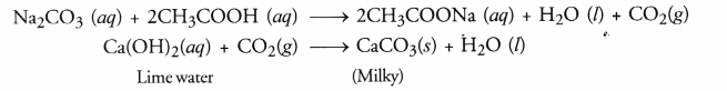 Carbon and its Compounds Class 10 Important Questions Science Chapter 4 image - 29