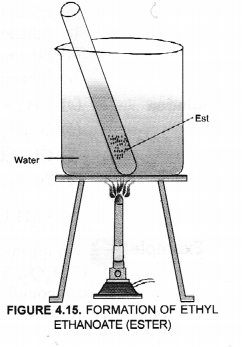 Carbon and its Compounds Class 10 Important Questions Science Chapter 4 image - 32