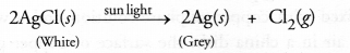 Chemical Reactions and Equations Class 10 Important Questions Science Chapter 1 image - 11